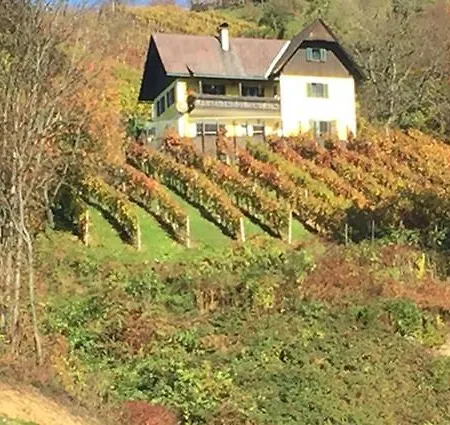 Malerisches Weingartenhaeuschen In Kitzeck * Kitzeck im Sausal